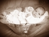 Santina Baby sepia