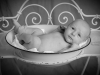 Santina Babyfoto Junge Studio sw Waschschüssel 3 Wochen